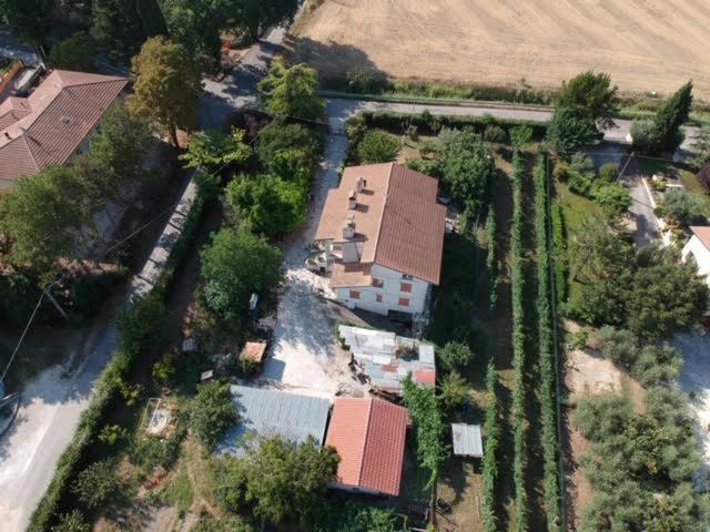 B&B La Mimosa Spello Exteriör bild